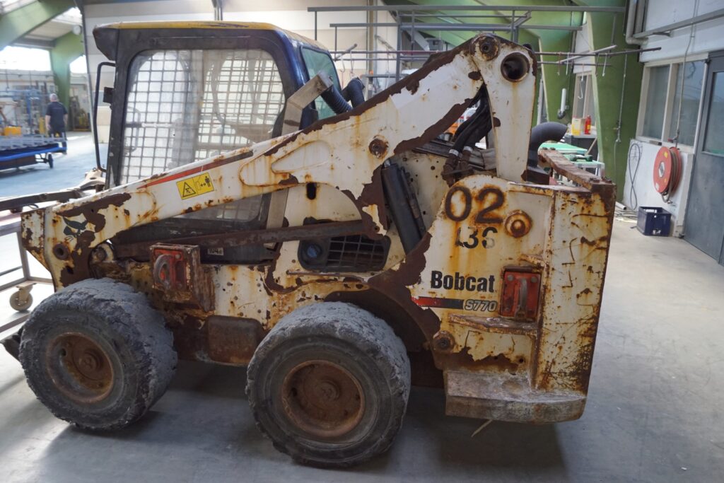 Bobcat_1