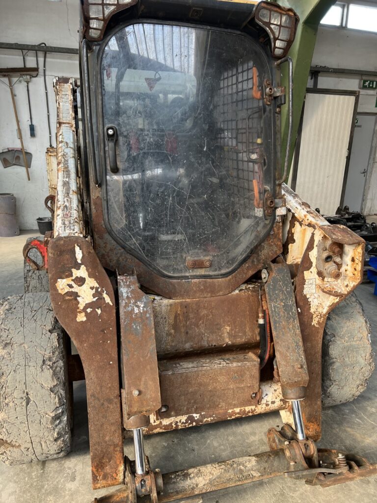 Bobcat_2