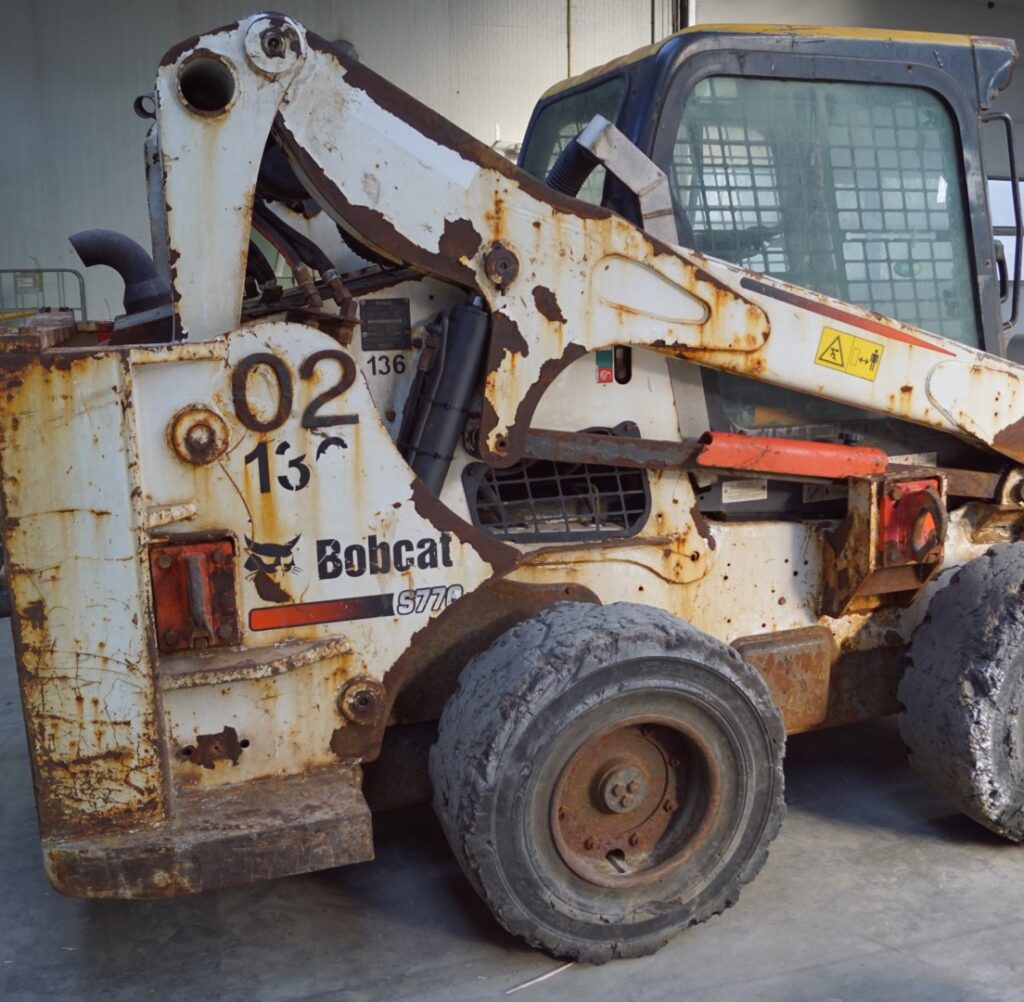 Bobcat_3